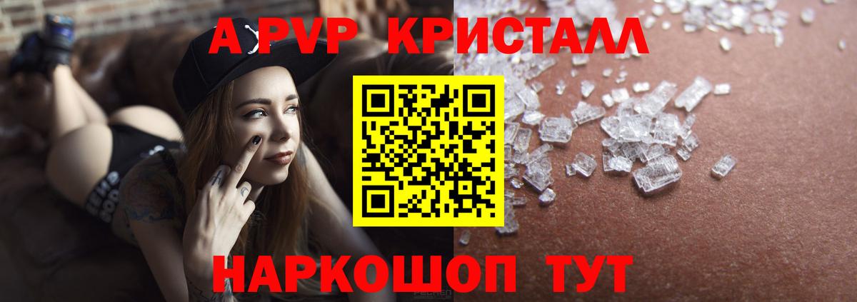 A PVP СК КРИС Сальск