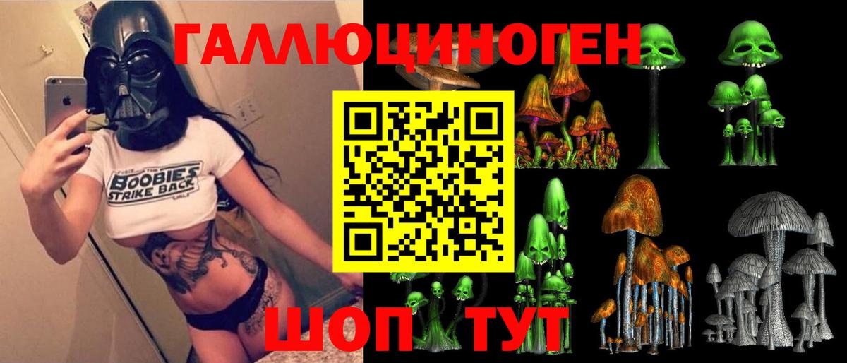 купить наркоту  Галлюциногенные грибы Psilocybe  Вход с VPN  Сальск 