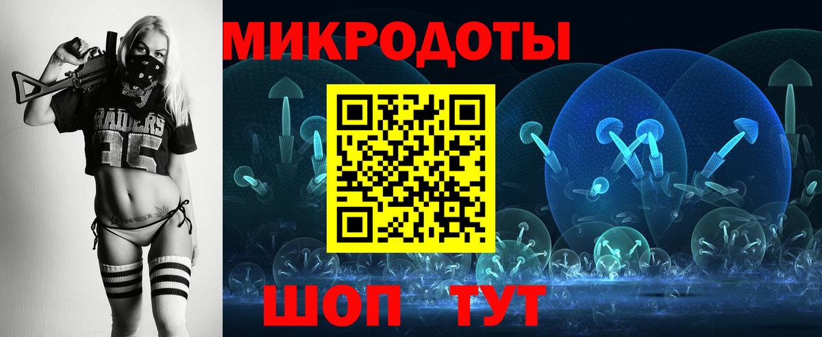 Псилоцибиновые грибы мицелий Сальск